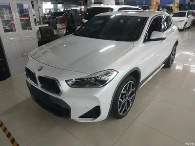 2020 BMW X2 sDrive25i Premium M Off-Road Package, фото 2, лот 10448439