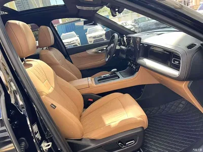 2025 GAC Trumpchi Trumpchi GS8 Pilot Series 2.0TGDI 2WD Luxury Edition 5-seater, фото 4, лот 10415916