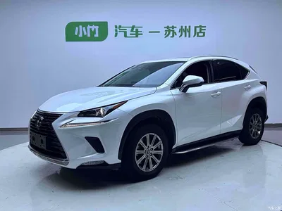 2020 Lexus NX 200 AWD F Sport China VI, фото 1, лот 10317733