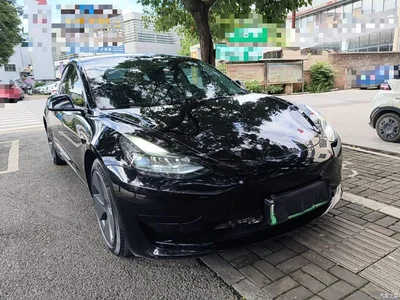 2022 Tesla Model 3 Model Rear-Wheel Drive Version, фото 4, лот 10370536