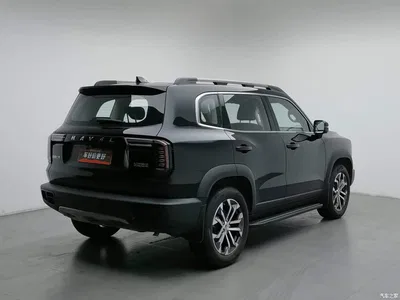 2022 Haval Big Dog 1.5T DCT FWD Border Collie Edition, фото 2, лот 11177876