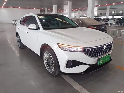 2021 Voyah Auto VOYAH FREE AWD Standard Range Extender Exclusive Luxury Package, фото 4, лот 10816073