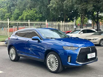2018 WEY P8 2.0T Flagship Model, фото 3, лот 11521801