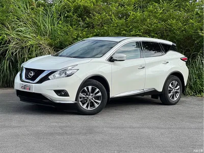 2019 Nissan Murano 2.5L XL 2WD Smart Connect Luxury Edition (China VI), фото 1, лот 11132657