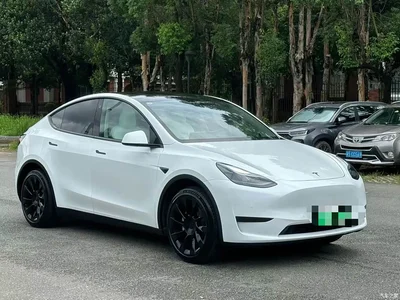 2023 Tesla Model Y Rear-Wheel Drive Edition, фото 3, лот 10768537