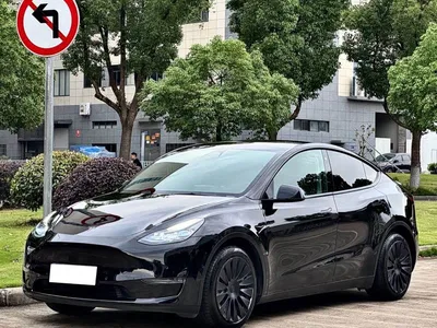 2021 Tesla Model Y Standard Range Rear-Wheel Drive, фото 1, лот 10766742