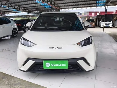 2024 BYD Seagull Glory Edition 305km Vitality Edition, фото 3, лот 11190753