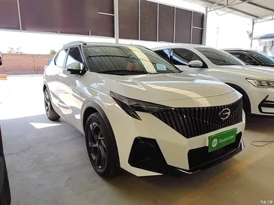 2023 GAC Trumpchi Trumpchi GS3 Shadow Speed 270T Power Enjoyment Edition, фото 4, лот 10421708