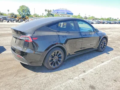 2023 TESLA MODEL Y, фото 3, лот 10852406