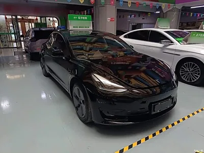 2022 Tesla Model 3 Model Rear-Wheel Drive Version, фото 4, лот 10369661
