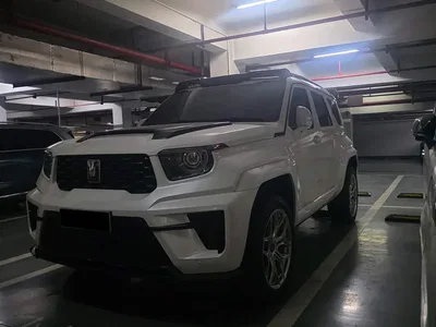 2024 Tank 700 New Energy Hi4-T Launch Limited Edition, фото 1, лот 10344677