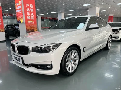 2019 BMW 3 Series GT 320i Fashion Model, фото 1, лот 10473406