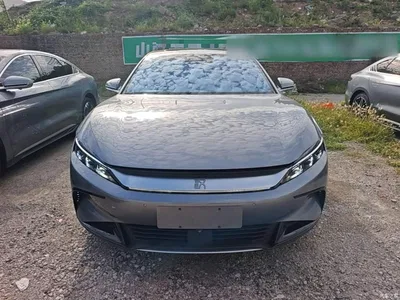 2024 BYD Han EV Glory Edition 605KM FWD Premium, фото 3, лот 10258677