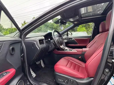 2016 Lexus RX 300 AWD F SPORT Edition China V, фото 4, лот 10316869