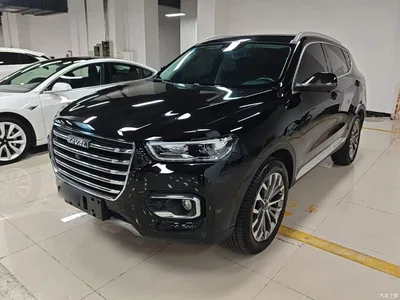 2020 Haval H6 1.5GDIT Automatic Platinum Luxury Edition, фото 1, лот 10417229