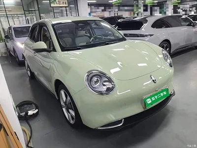 2023 Ora Good Cat 401km Standard Range Premium LFP, фото 4, лот 11196620