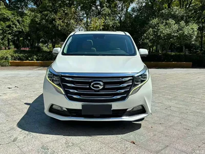 2018 GAC Trumpchi Trumpchi M8 320T Flagship Edition, фото 1, лот 10416540