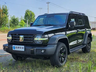 2021 Tank 300 Off-road Version 2.0T Conqueror, фото 1, лот 10345164