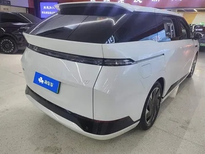 2024 XPeng X9 610 Long Range Max, фото 3, лот 10375861