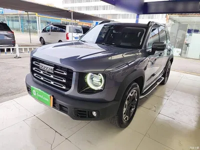 2021 Haval Big Dog 2.0T DCT 4WD Chinese Rural Dog Edition, фото 1, лот 11220230