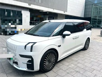 2024 ZEEKR 009 6-seat Executive AWD 108kWh, фото 1, лот 10291529