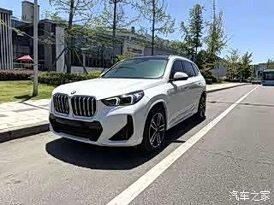 2024 BMW X1 xDrive25Li M Sport Package, фото 1, лот 10466362