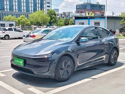 2025 Tesla Model Y Long Range All-Wheel Drive, фото 1, лот 10370098