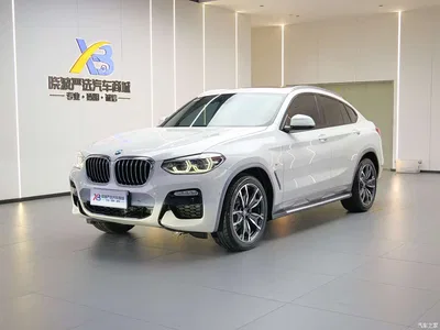 2019 BMW X4 xDrive25i M Off-Road Package, фото 1, лот 10413264