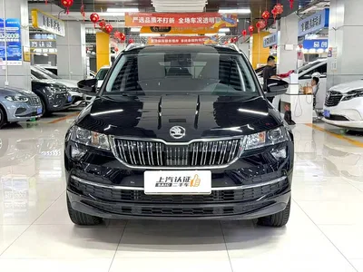 2022 Škoda Karoq TSI280 Luxury Edition, фото 2, лот 10349470