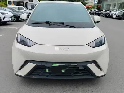 2024 BYD Seagull Glory Edition 305km Vitality Edition, фото 3, лот 10476884