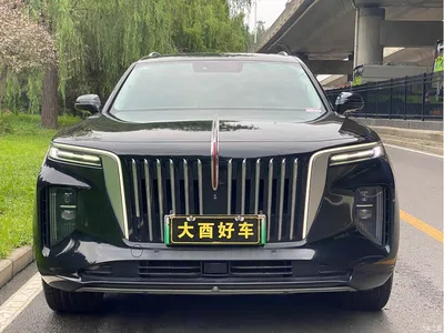 2021 Hongqi E-HS9 460km Flagship Comfort 6-seater, фото 2, лот 10287973