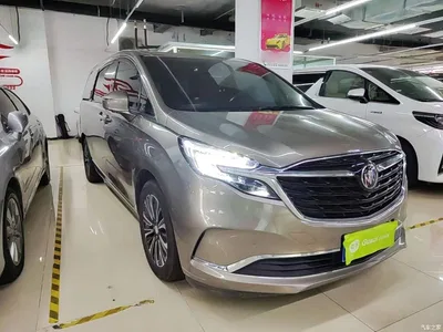 2020 Buick GL8 ES Landglory 653T Flagship, фото 4, лот 10262088
