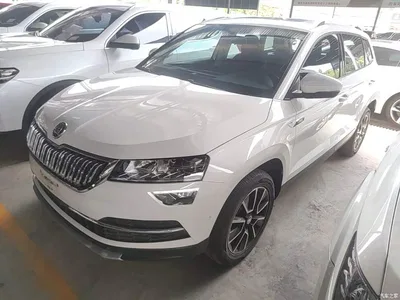 2019 Škoda Karoq TSI280 Smart Drive Premium Edition China V, фото 2, лот 10348006