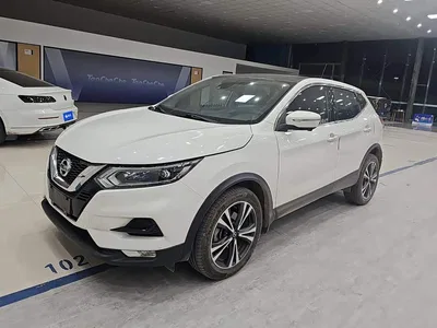 2019 Nissan Qashqai 2.0L CVT Luxury Edition, фото 1, лот 10663221