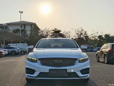 2021 Geely Xing Rui 2.0TD Premium, фото 2, лот 10359291