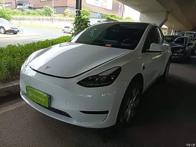 2022 Tesla Model Y Facelift Rear-Wheel Drive Version, фото 1, лот 10375966