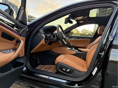 2019 BMW 5 Series Facelift 530Li Leading M Sport Package, фото 4, лот 11134731
