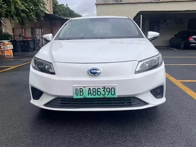 2019 Aion S Xuan 530, фото 1, лот 10240376