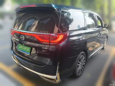 2021 GAC Trumpchi Trumpchi M8 Leading Show Series 390T Ultimate Edition, фото 4, лот 10902266