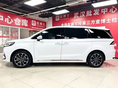 2021 Roewe iMAX8 400TGI Supreme Series Ultimate Edition, фото 4, лот 10764289