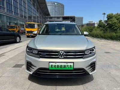 2019 Volkswagen Tiguan L PHEV 430PHEV Hybrid Luxury Edition, фото 2, лот 10421367