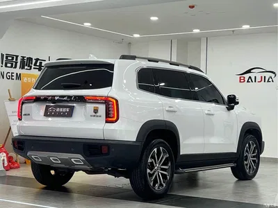 2022 Haval Big Dog 1.5T DCT FWD Border Collie Edition, фото 4, лот 11007472
