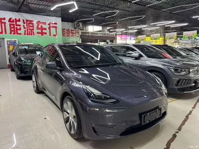 2021 Tesla Model Y Model Long Range AWD, фото 3, лот 11011984