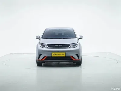 2021 BYD Dolphin 405km Freedom Edition, фото 3, лот 10252450