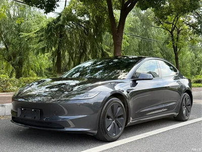 2023 Tesla Model 3 Rear-Wheel Drive, фото 1, лот 10352113