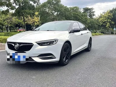 2019 Buick Regal 20T Luxury China VI, фото 1, лот 10250447