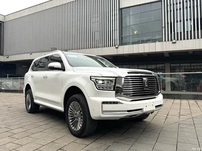 2022 Tank 500 3.0T Business Edition Zaojing 5-Seater, фото 3, лот 10455869