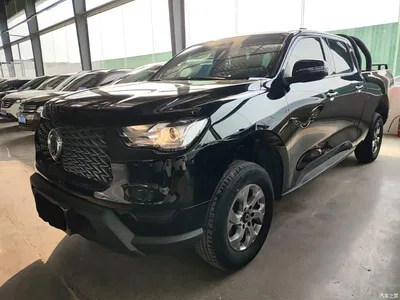2021 Great Wall Pao 2.0T Commercial Edition Automatic Diesel 2WD Elite Long Box GW4D20M, фото 1, лот 10248836