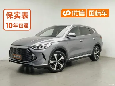 2021 BYD Song PLUS PHEV DM-i 110KM Flagship PLUS, фото 1, лот 10956501
