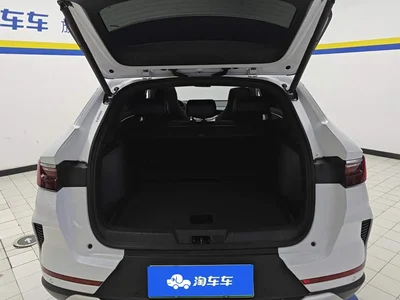 2021 Byd Song Plus, фото 4, лот 10246771